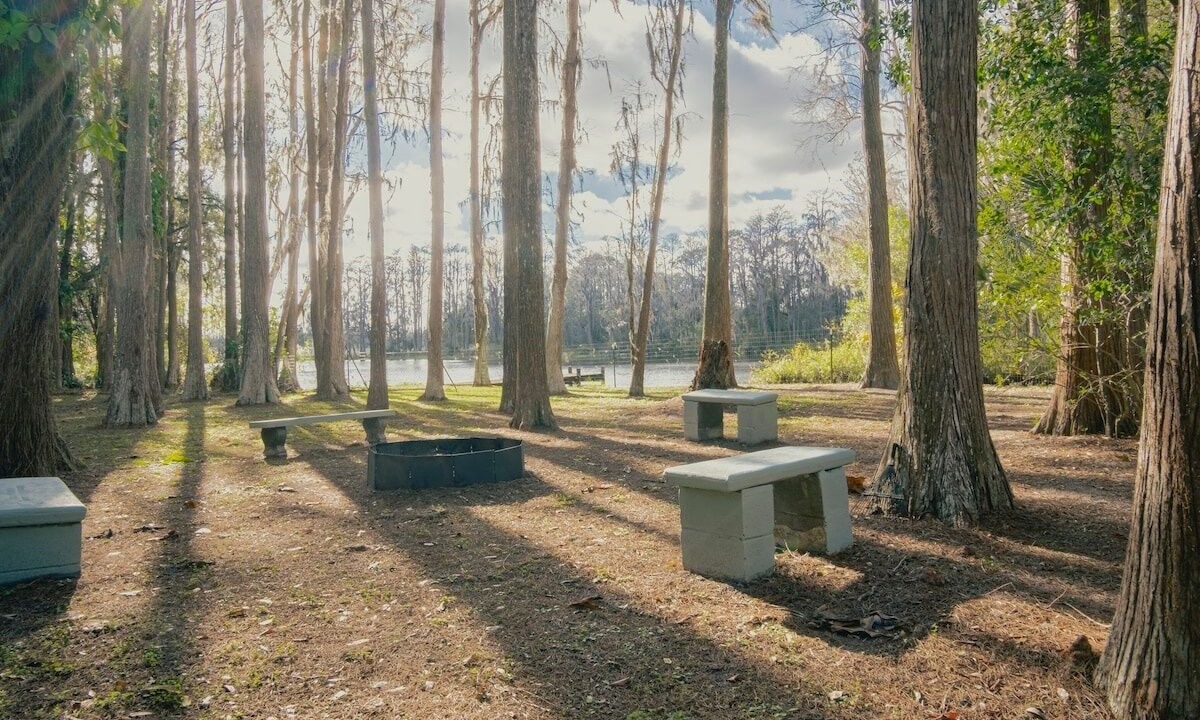 Photo of Outdoor in Greater Northdale