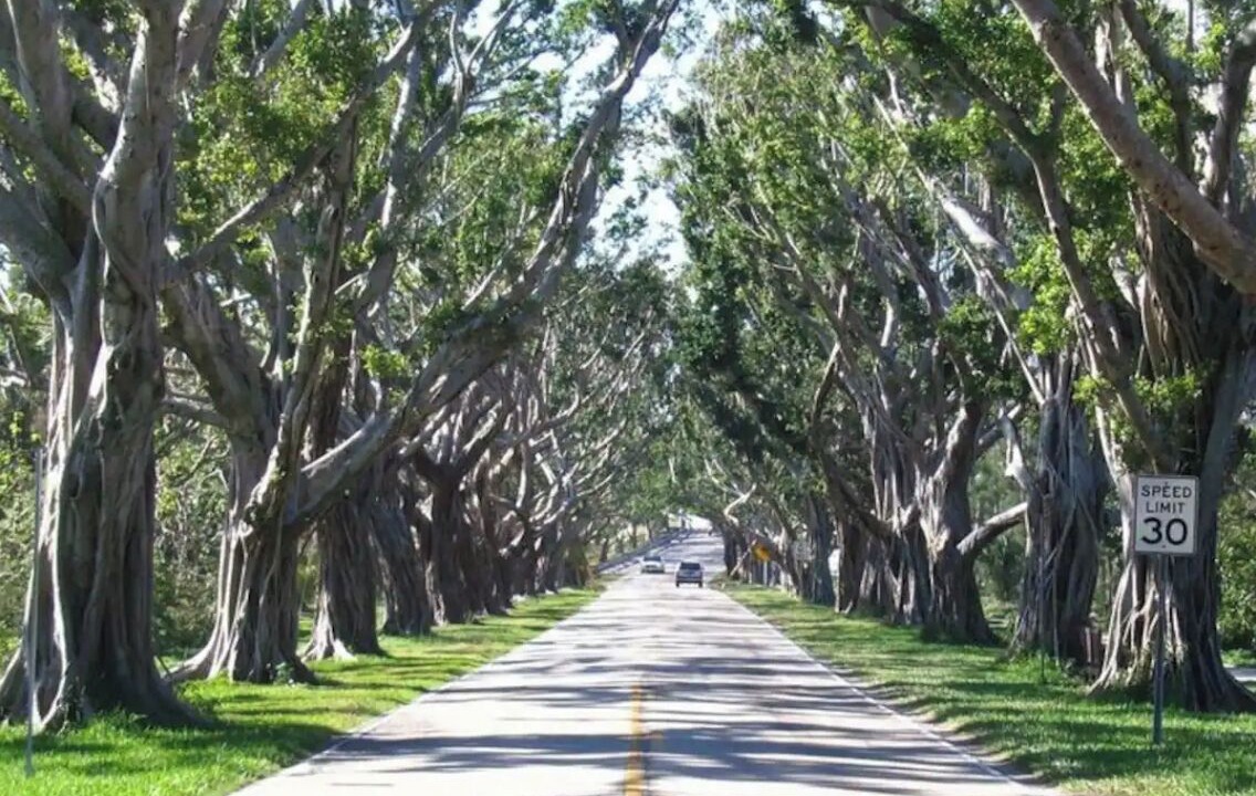 Photo of Outdoor in Hobe Sound