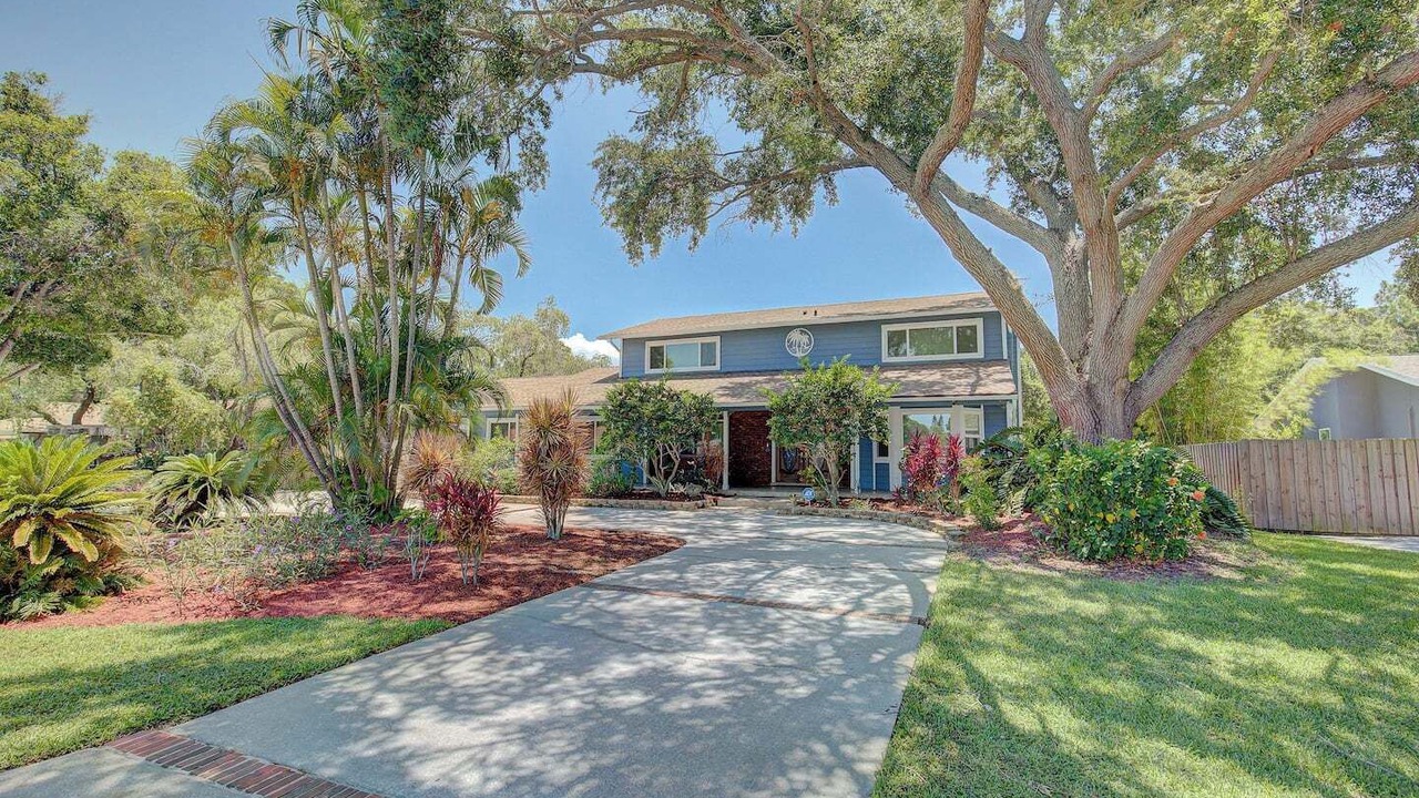 Photo of Outdoor in Clearwater
