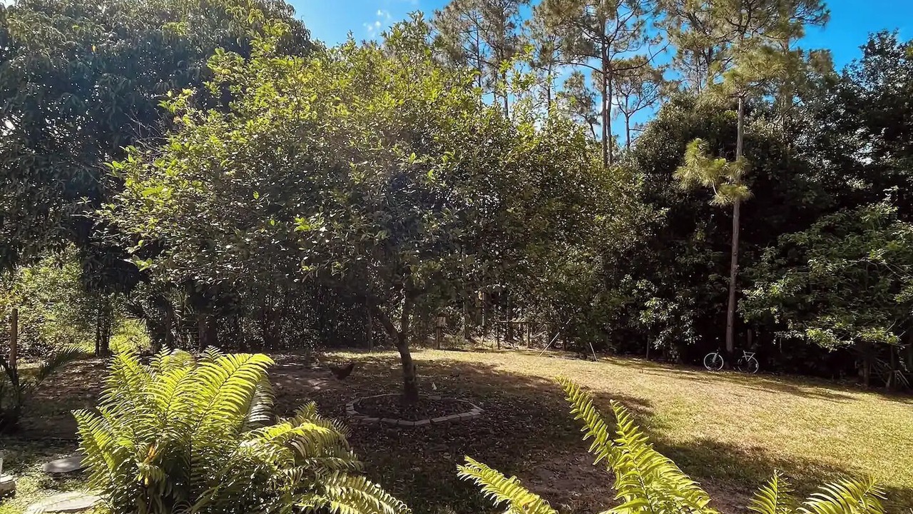 Photo of Outdoor in Jupiter Farms