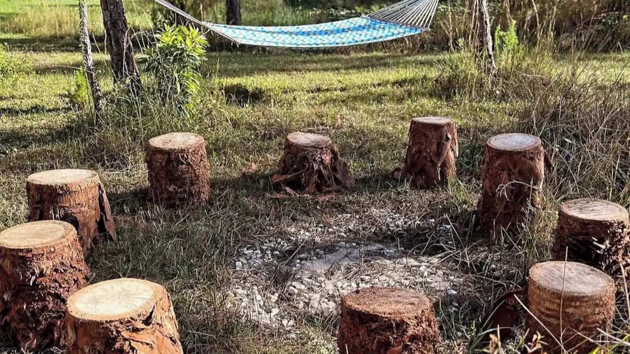 Photo of Outdoor in Jupiter Farms