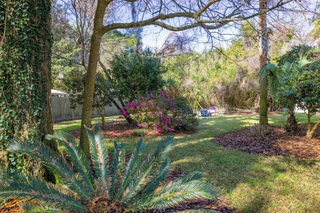 Photo of Outdoor in High Springs
