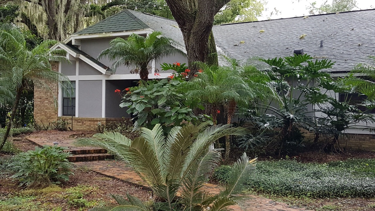 Photo of Outdoor in Orlando
