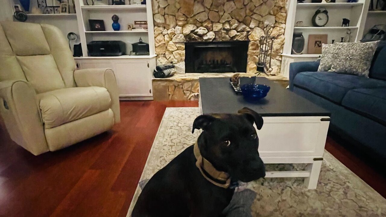 Photo of Livingroom in Orlando