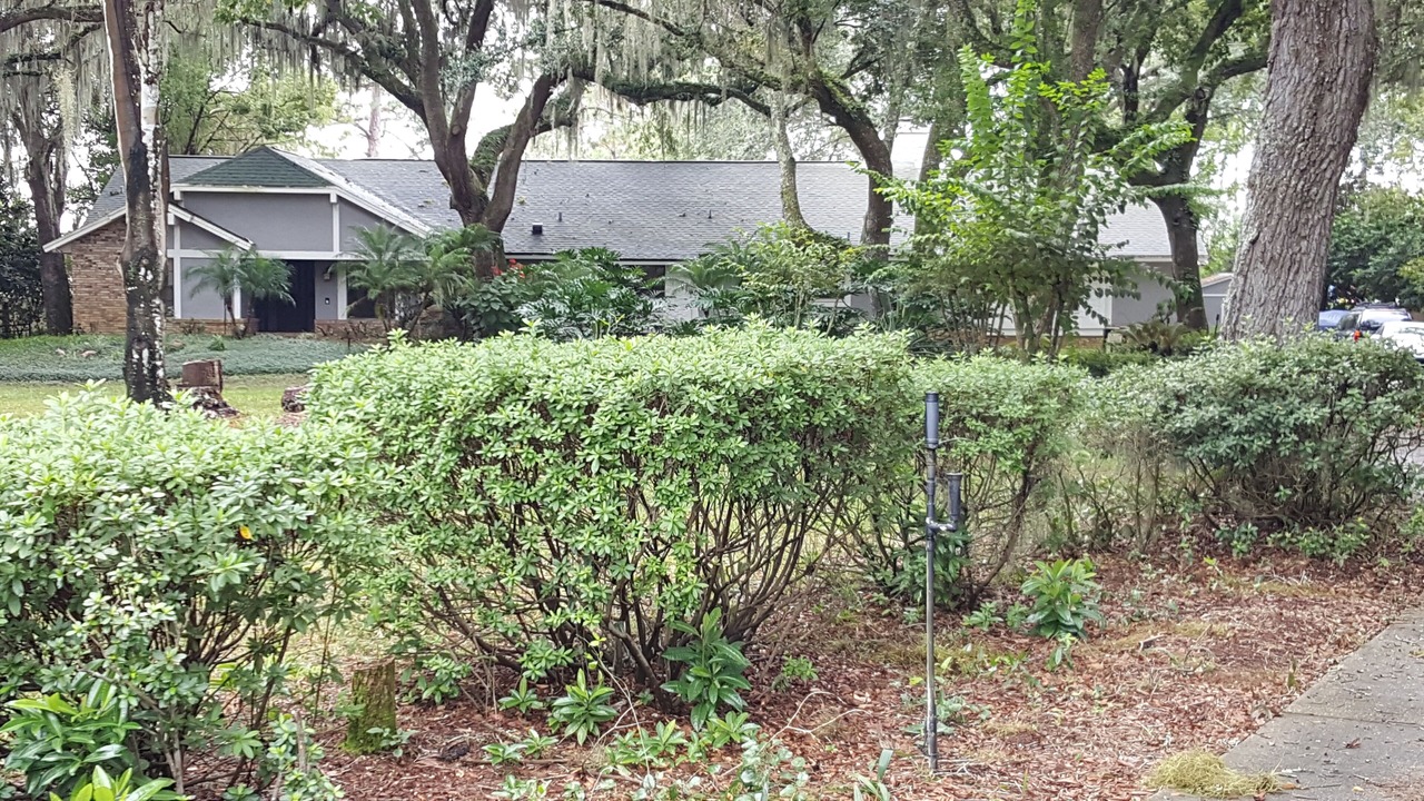 Photo of Outdoor in Orlando