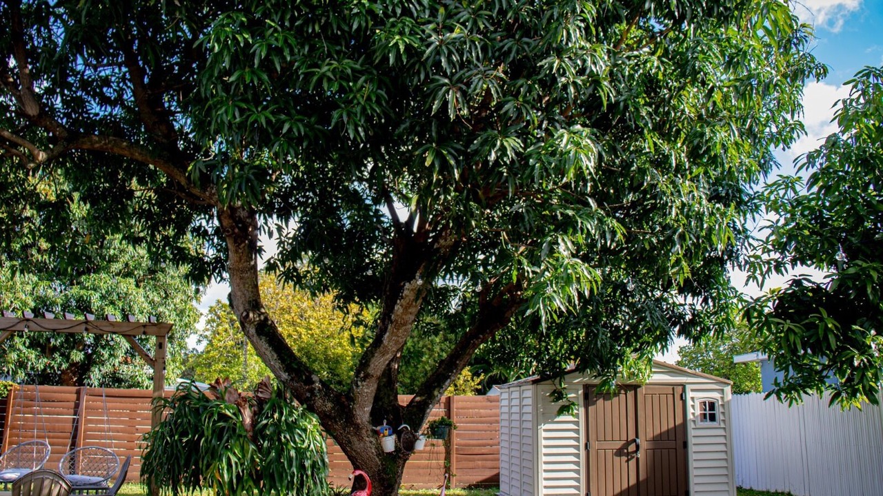 Photo of Outdoor in Flagami