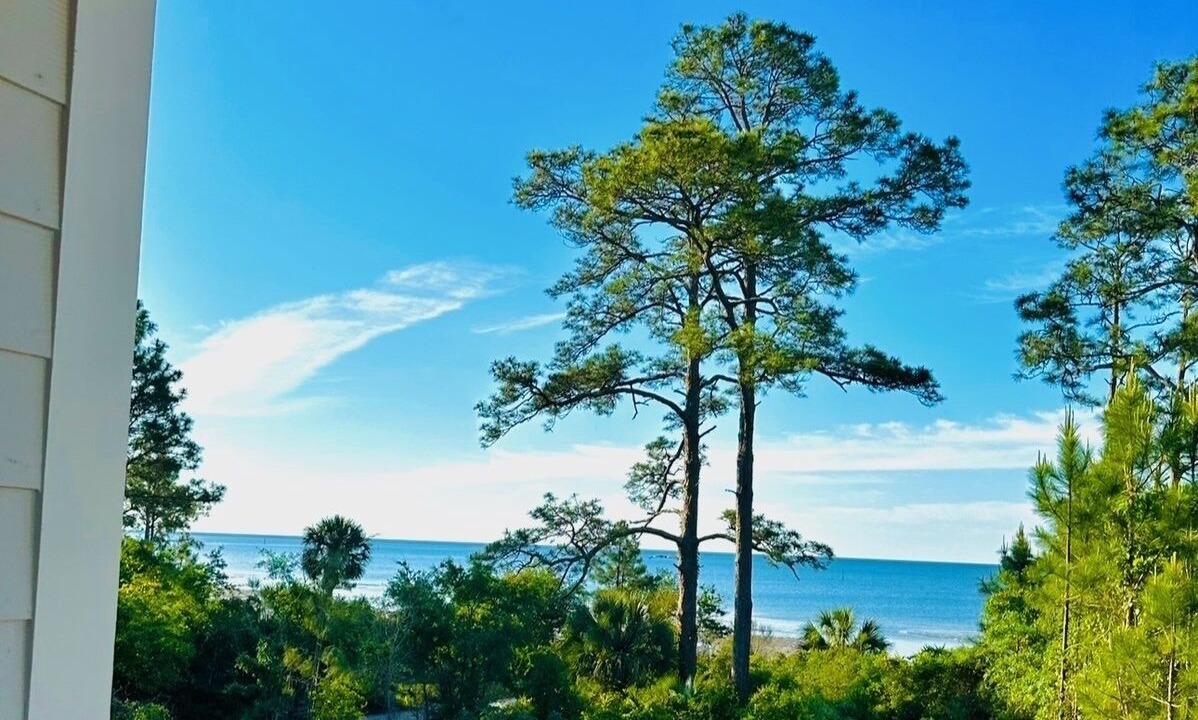 Photo of Others in Carrabelle