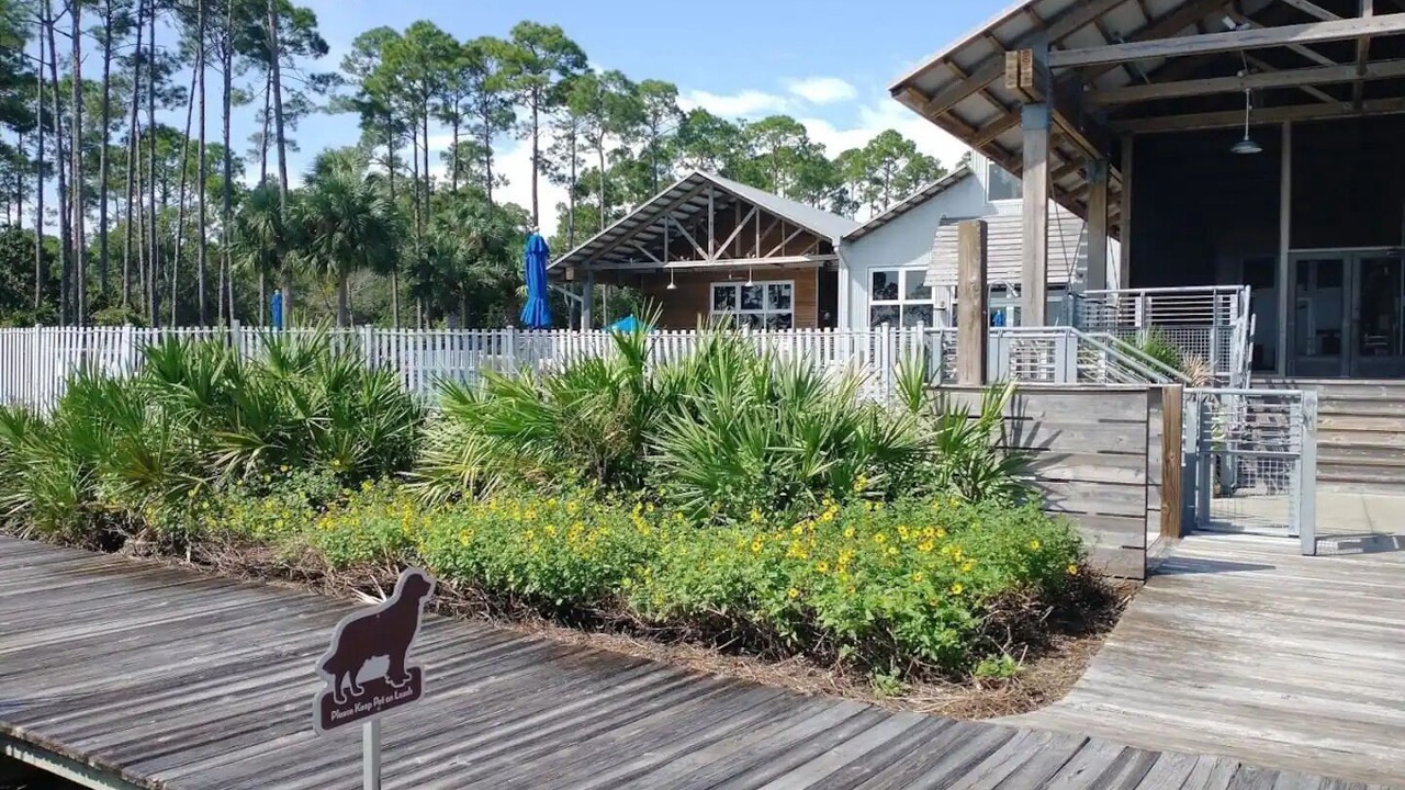 Photo of Outdoor in Carrabelle