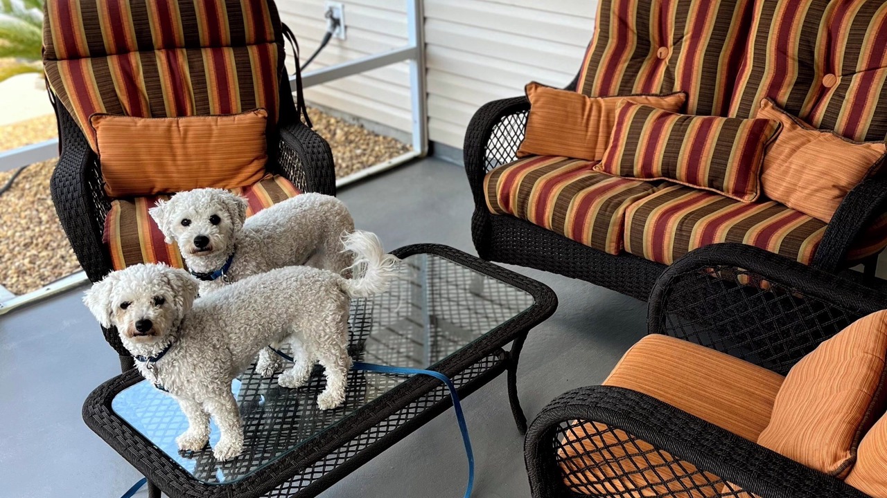 Photo of Outdoor in Lynnhaven