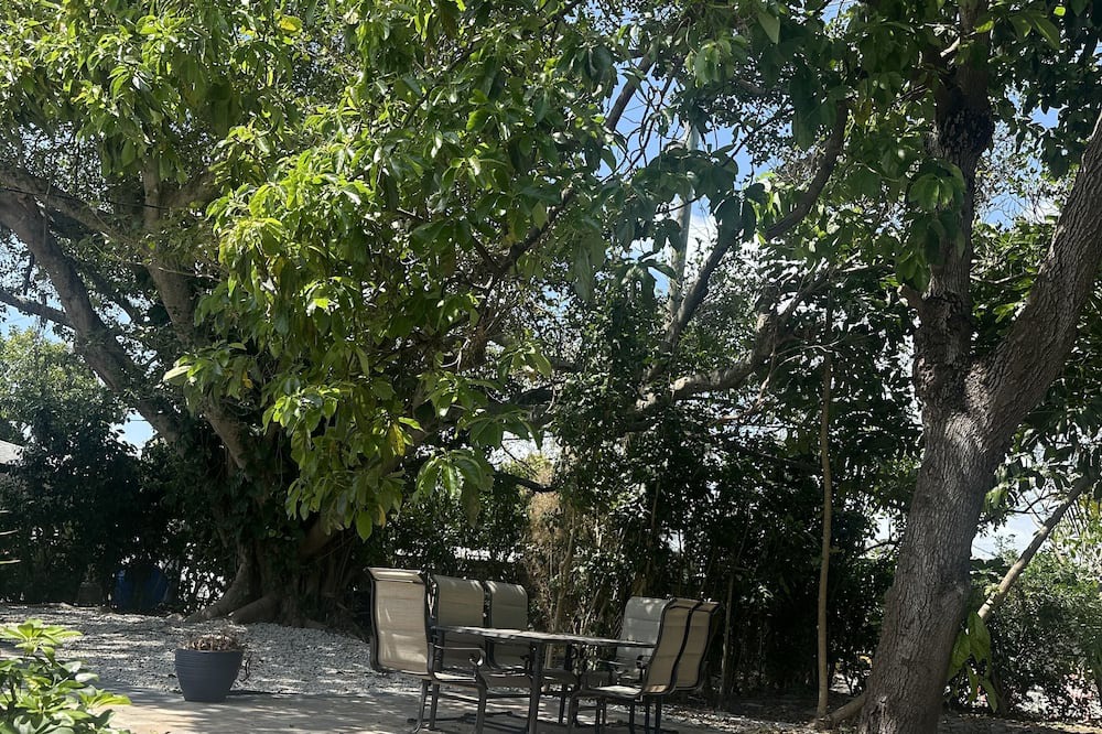 Photo of Outdoor in Lake Ridge