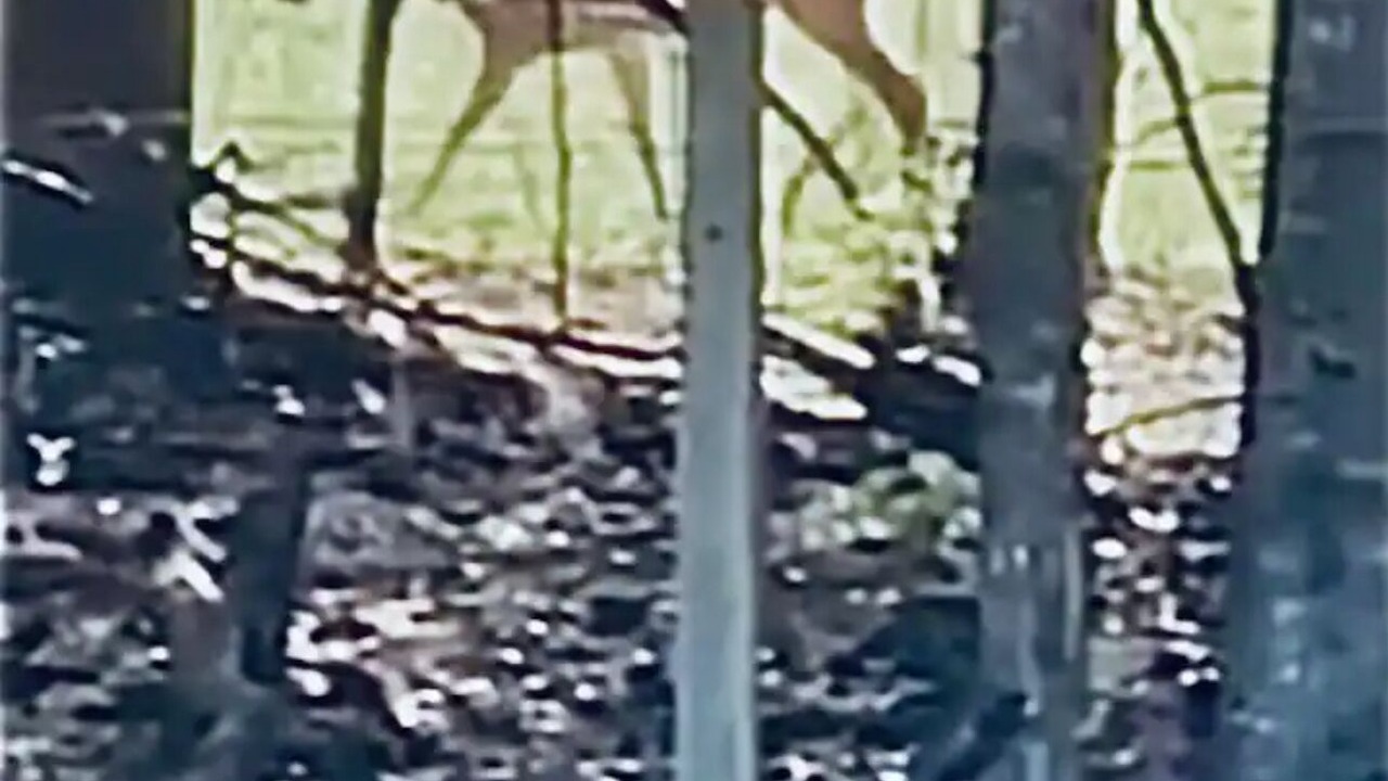 Photo of Others in Fort White