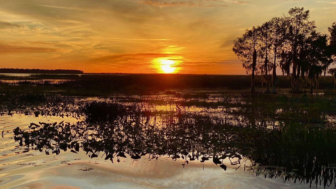 Photo of Others in Lorida