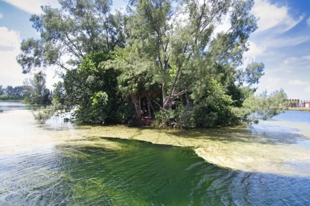 Photo of Others in Seybold