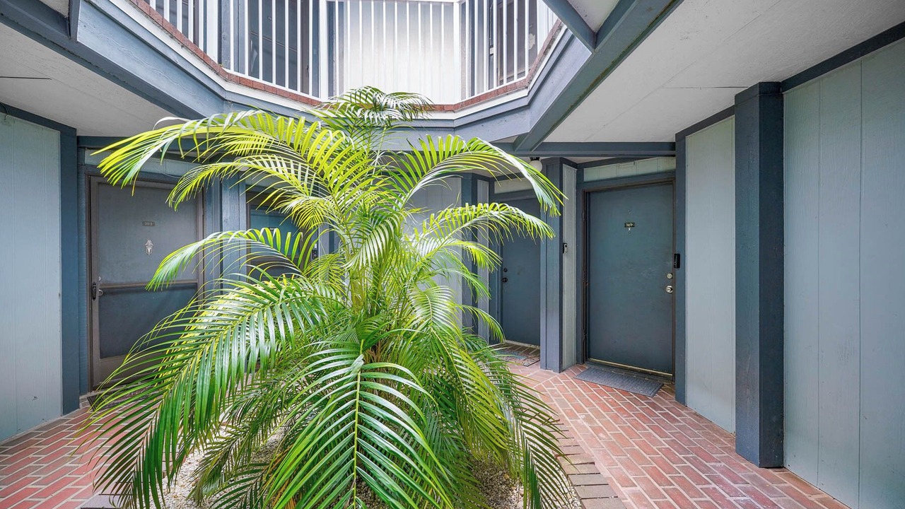 Photo of Outdoor in Ventura