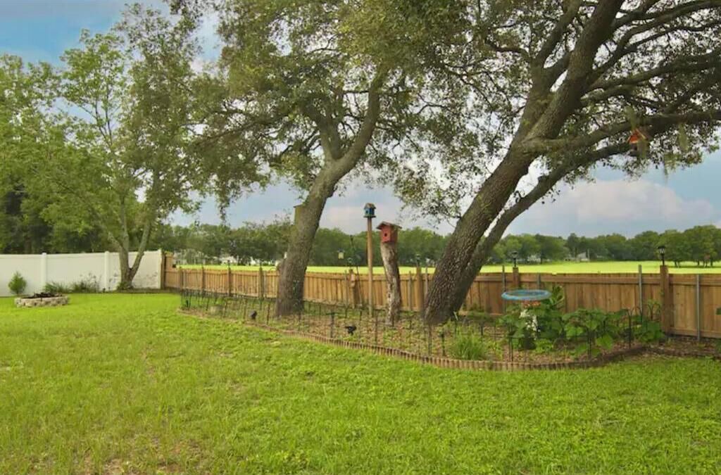 Photo of Outdoor in Summerfield