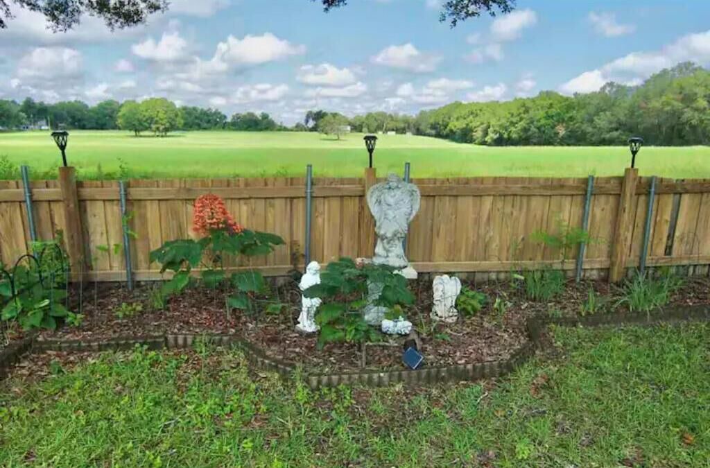 Photo of Outdoor in Summerfield