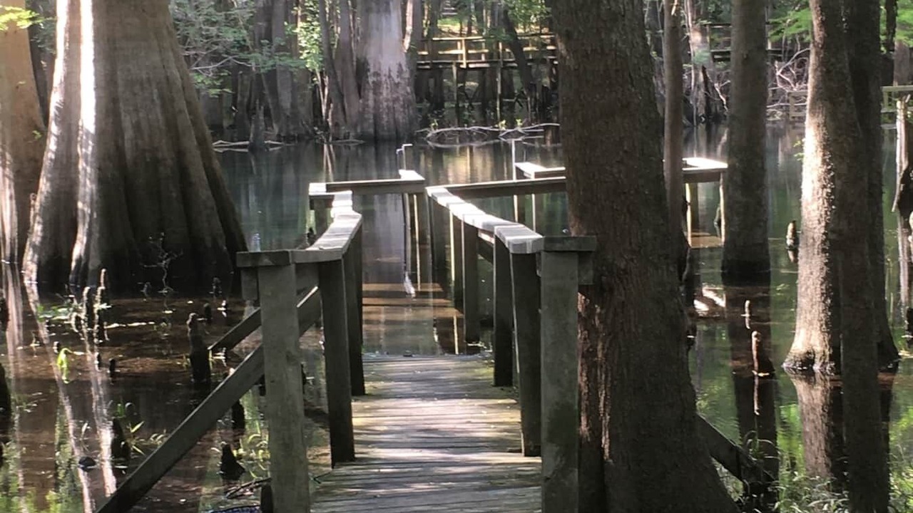 Photo of Outdoor in Fort White