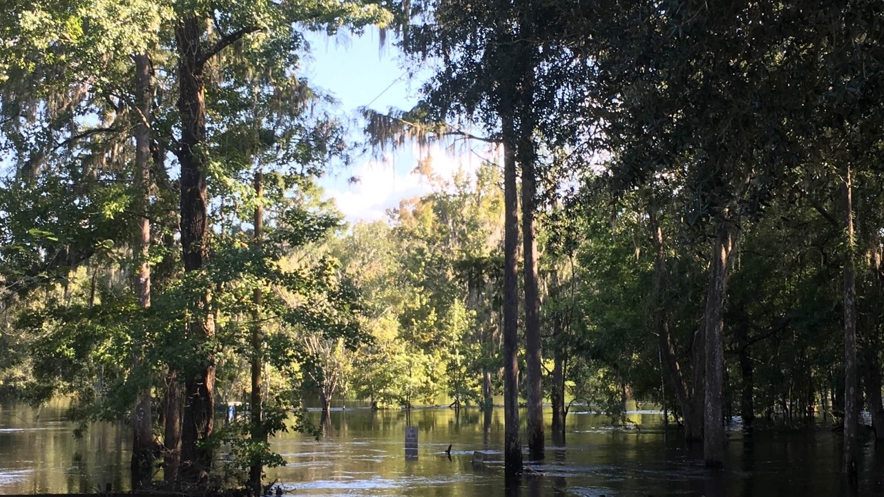 Photo of Others in Fort White