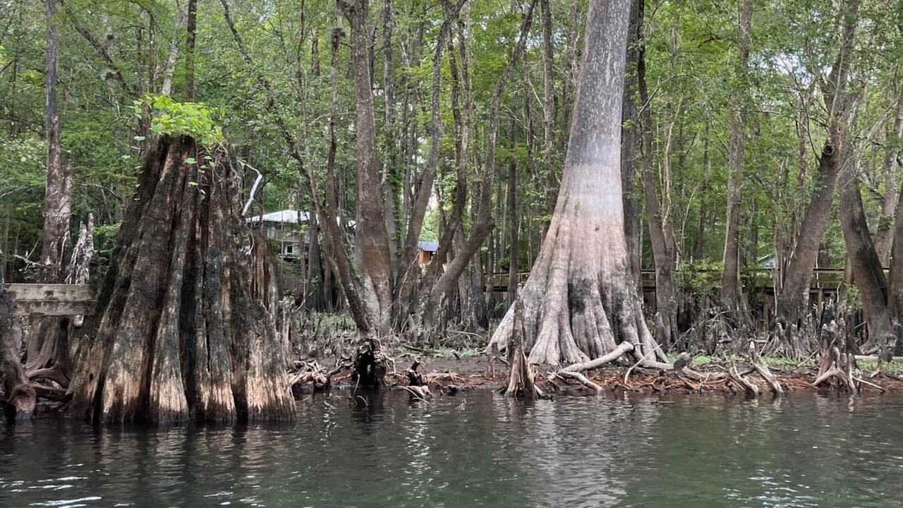 Photo of Others in Fort White
