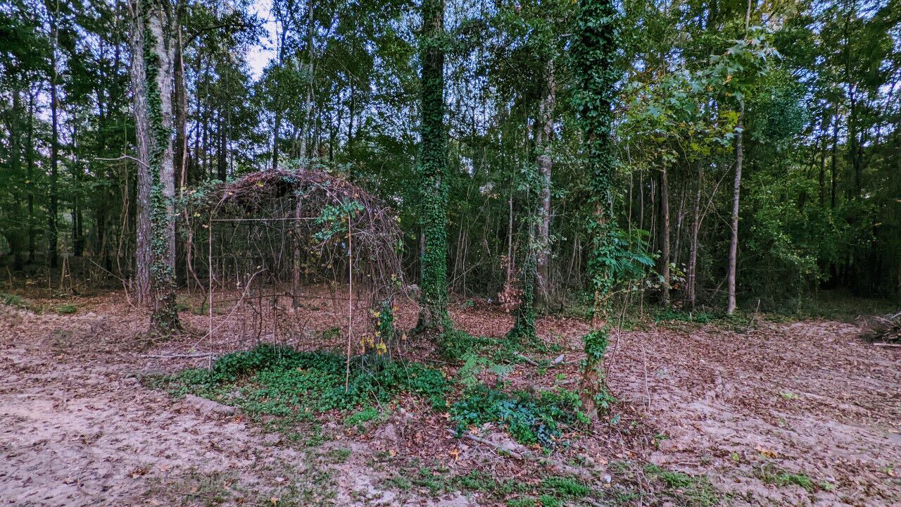 Photo of Outdoor in Lee County