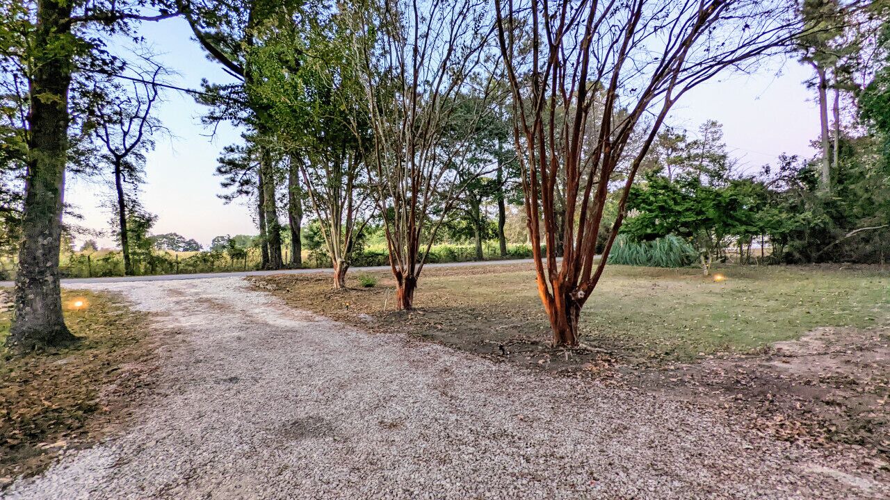 Photo of Outdoor in Lee County