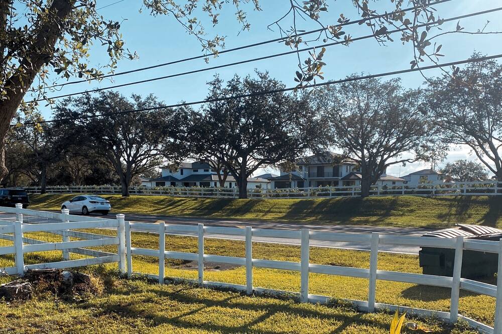 Photo of Outdoor in Green Meadow
