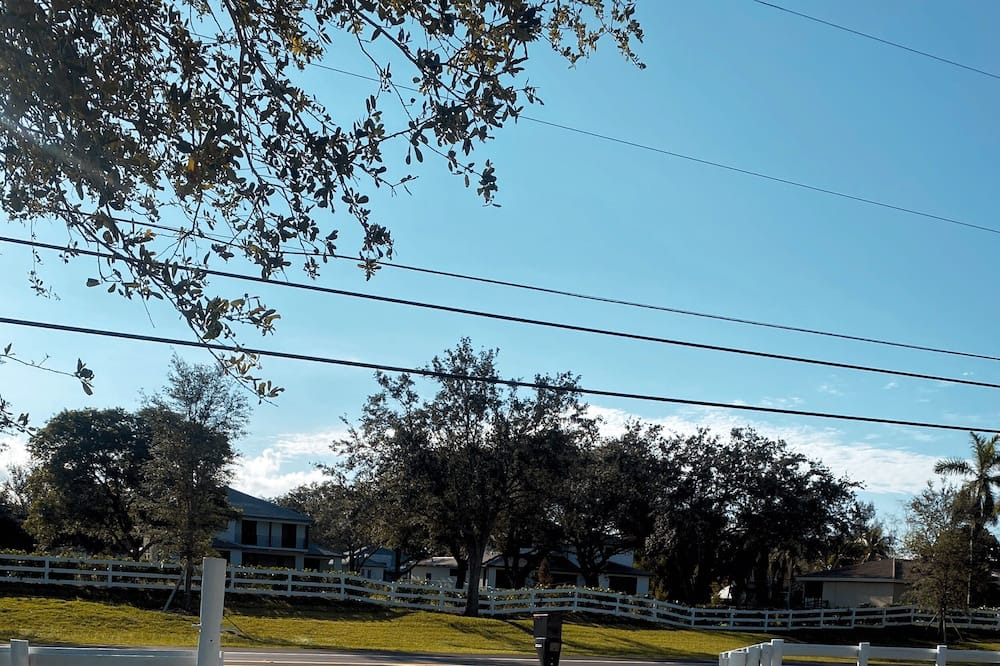 Photo of Outdoor in Green Meadow