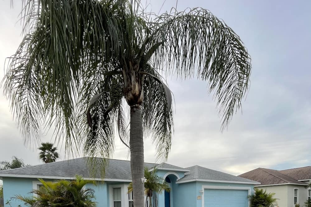 Photo of Others in Winter Haven