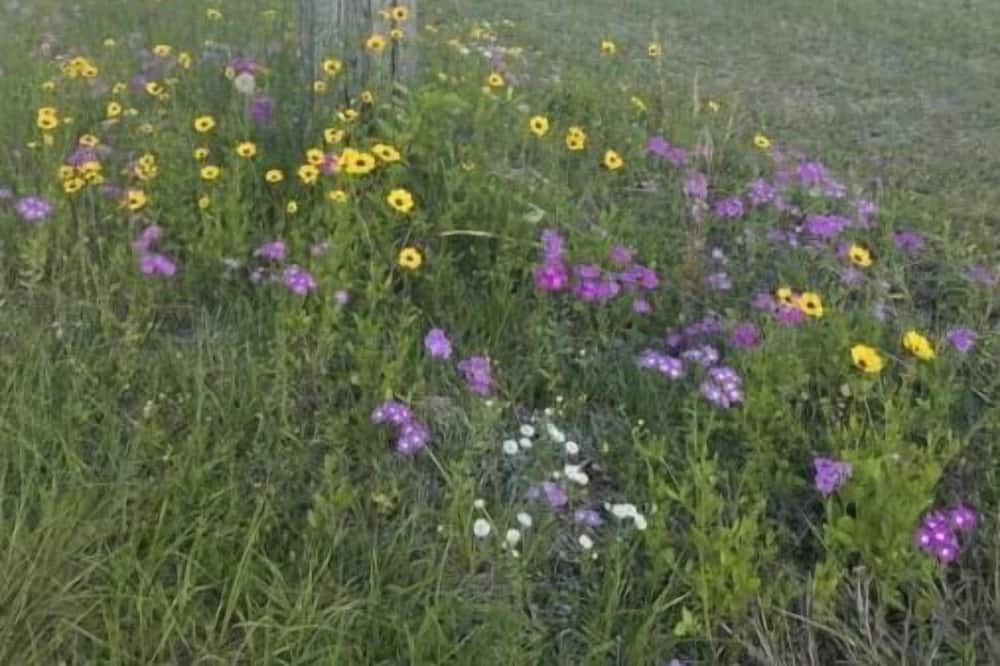 Photo of Others in High Springs