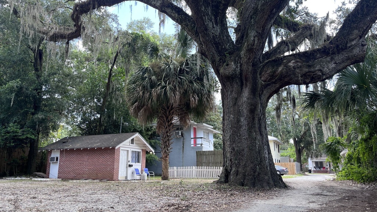 Photo of Outdoor in University Heights