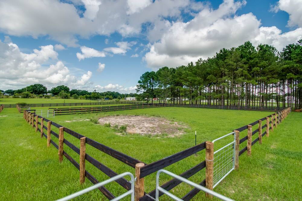 Photo of Outdoor in Citra