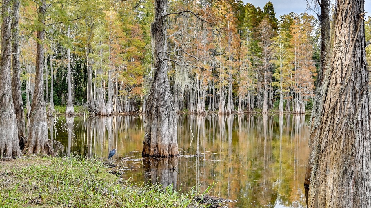 Photo of Others in Lake Magdalene