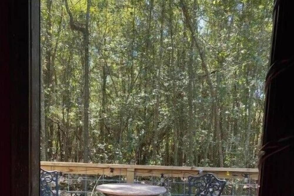 Photo of Outdoor in Live Oak