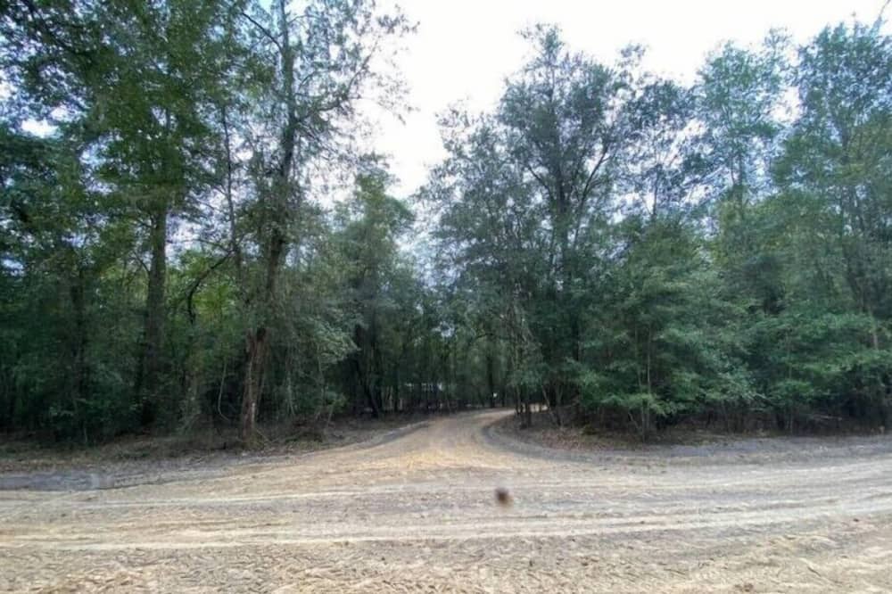 Photo of Outdoor in Live Oak