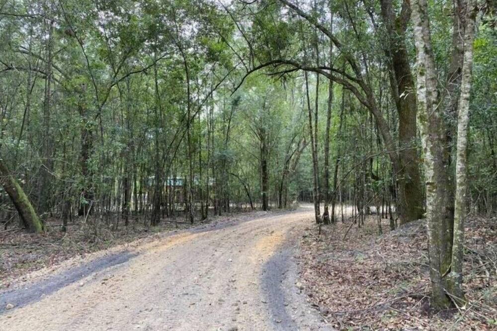 Photo of Others in Live Oak