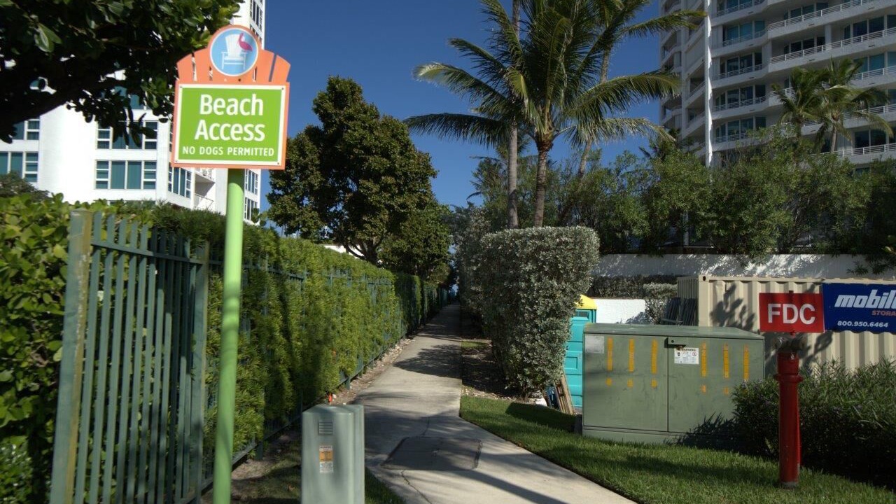 Photo of Outdoor in Bel Air