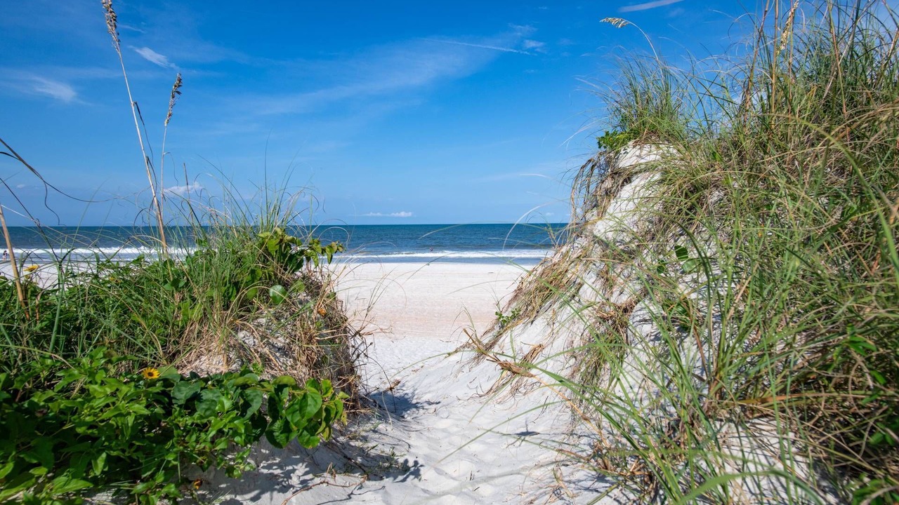 Photo of Outdoor in St. Augustine Beach