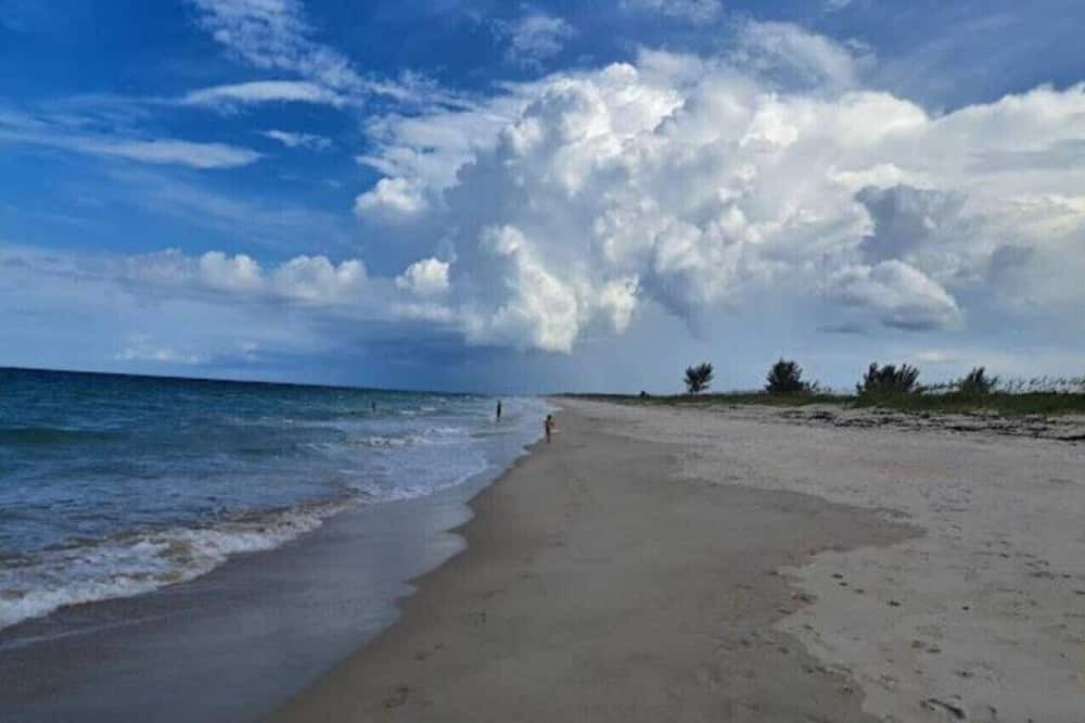 Photo of Others in Indian River Estates
