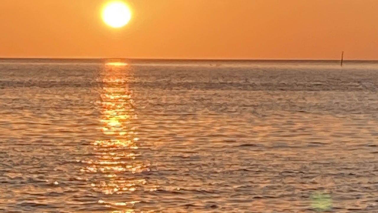 Photo of Others in Cedar Key