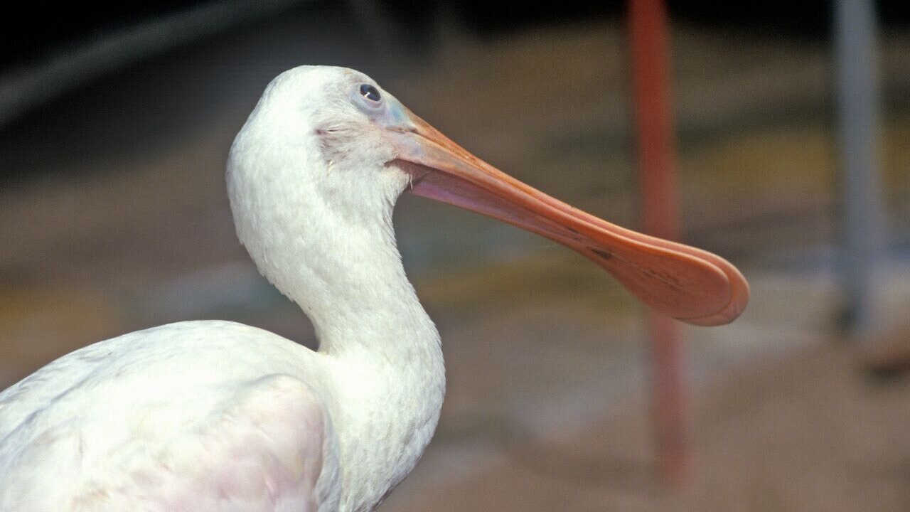 Photo of Others in Crescent Lake