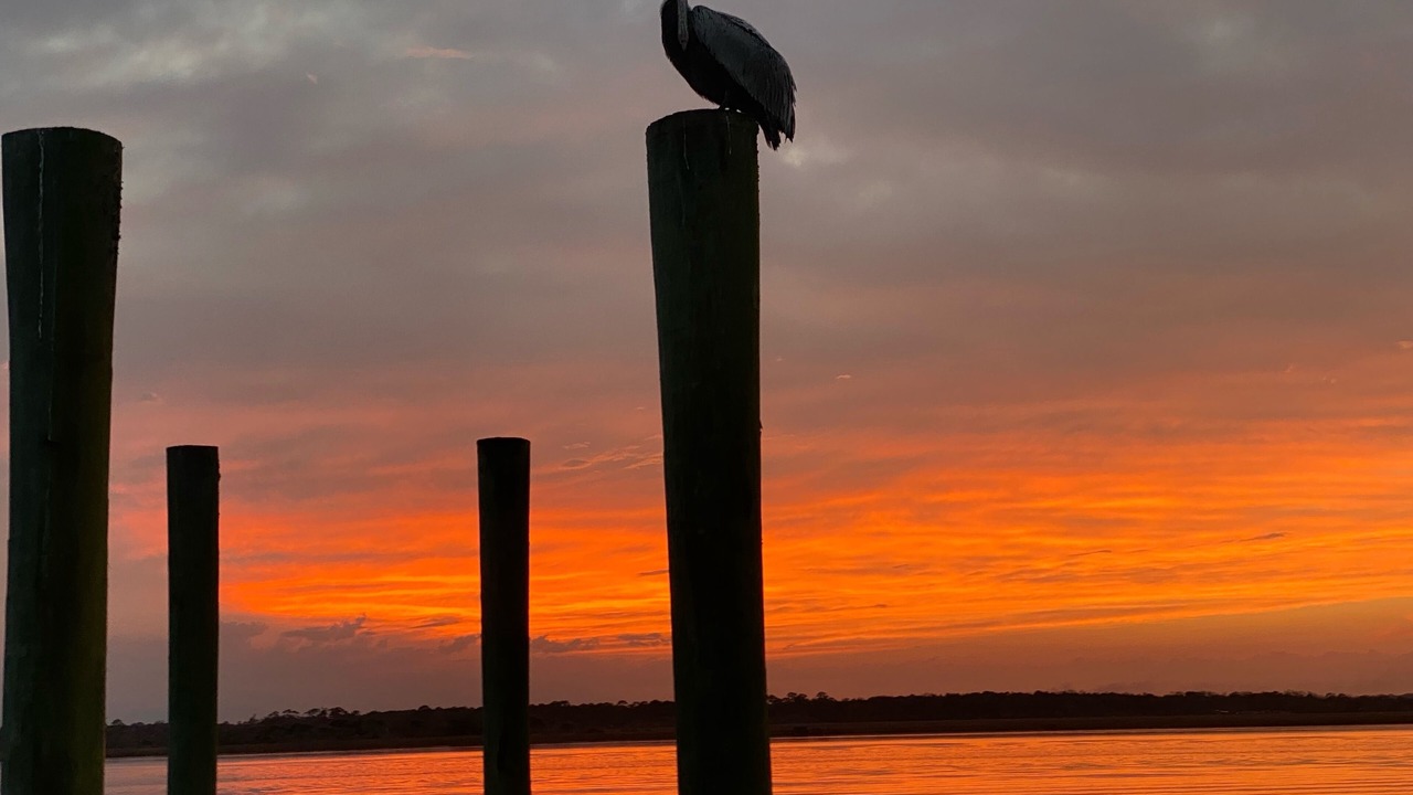 Photo of Outdoor in Vilano Beach