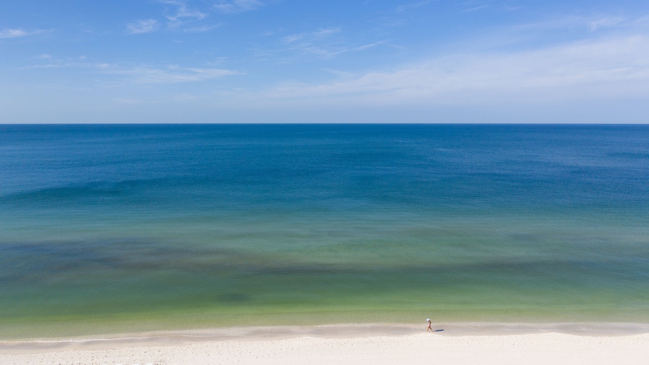 Photo of Others in North Naples