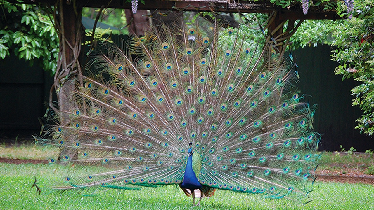 Photo of Others in St. Augustine