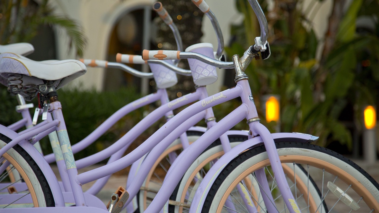 Photo of Outdoor in Central Beach