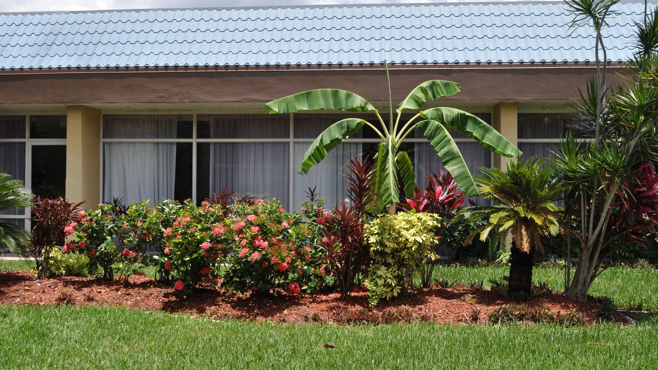 Photo of Outdoor in Cocoa West