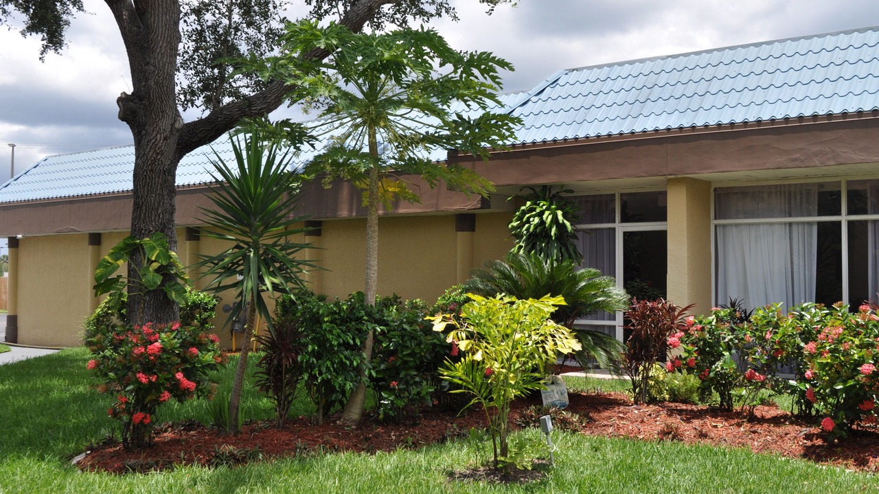 Photo of Outdoor in Cocoa West
