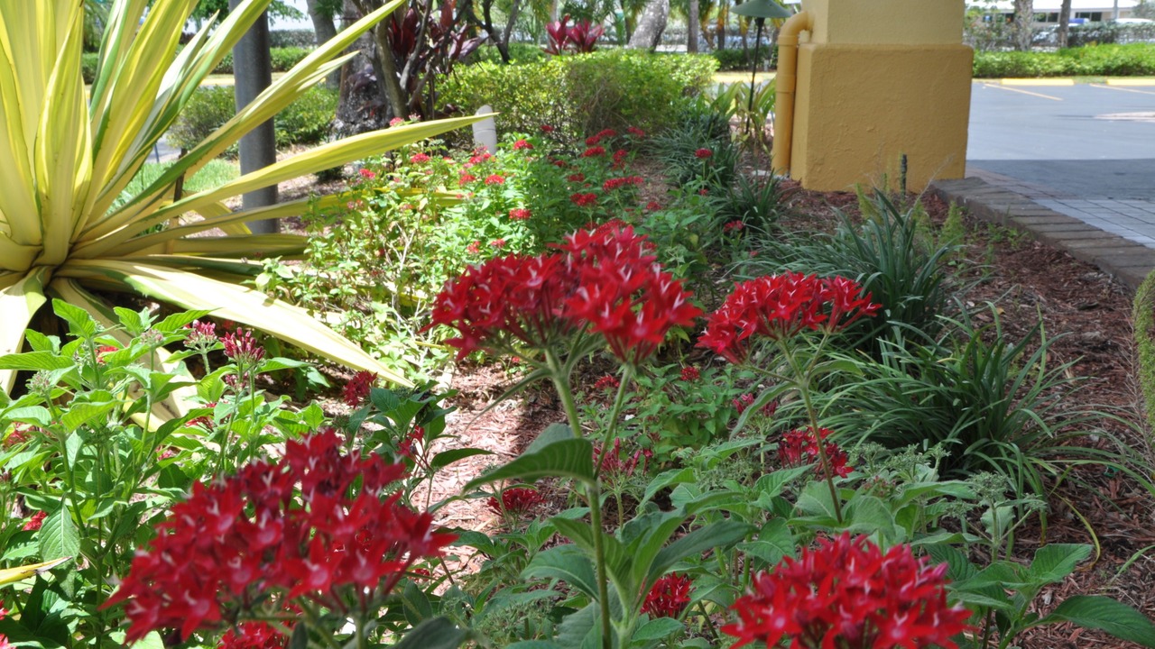 Photo of Outdoor in Florida City