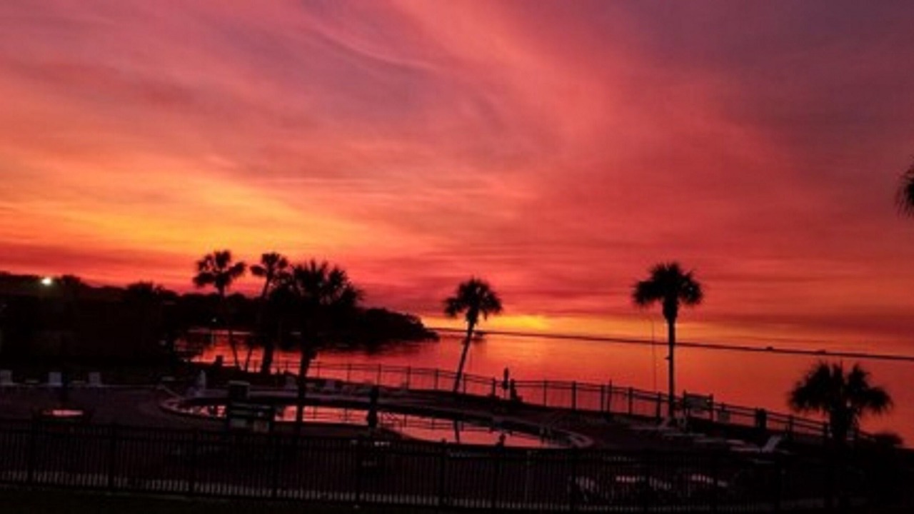 Photo of Others in Pensacola