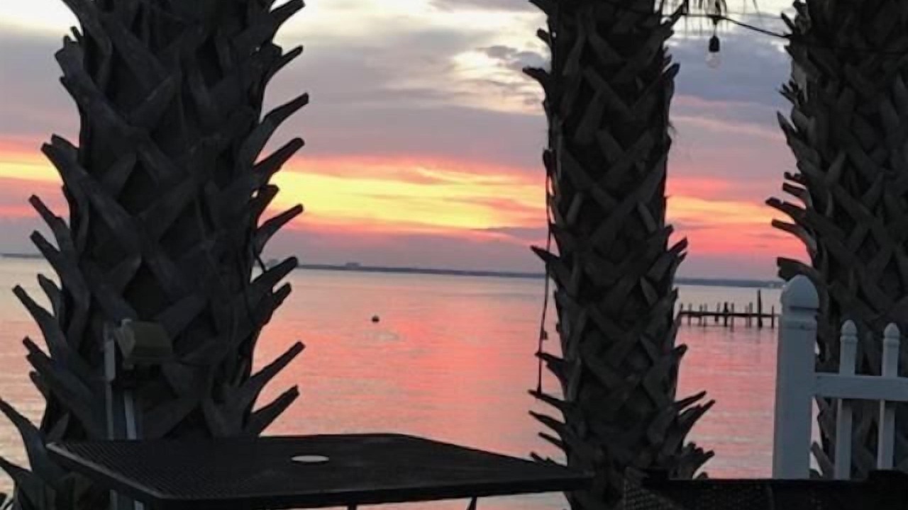Photo of Others in Pensacola