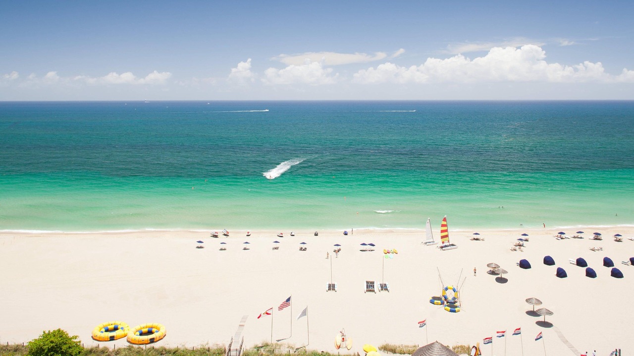 Photo of Others in Barrier Island